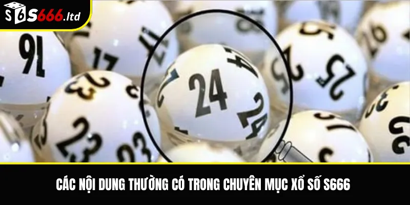 Xổ Số S666 – Tổng Quan Sản Phẩm Xổ Số Và Cách Theo Dõi Kết Quả 2 Các nội dung thường có trong chuyên mục xổ số S666