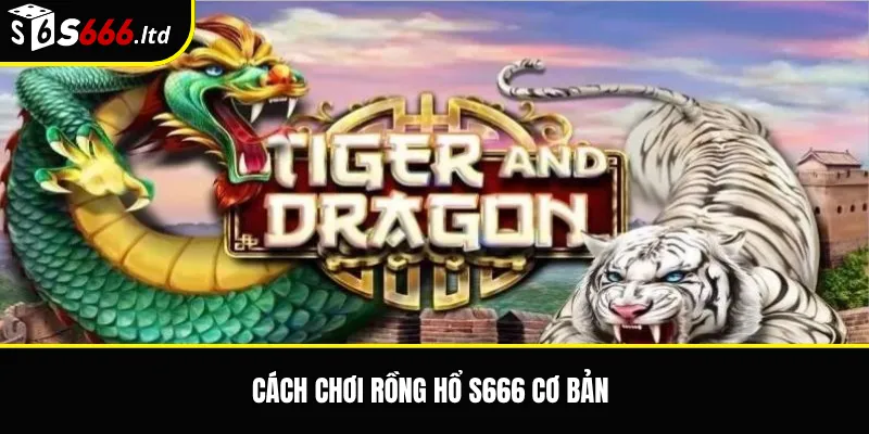 Rồng Hổ S666 – Luật Chơi Dragon Tiger Và Các Cửa Cược Cơ Bản 2 Cách chơi Rồng Hổ S666 cơ bản
