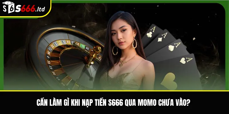 Nạp Tiền S666 Qua Momo – Lưu Ý Khi Giao Dịch Qua Ví Điện Tử 3 Cần làm gì khi nạp tiền S666 qua Momo chưa vào?