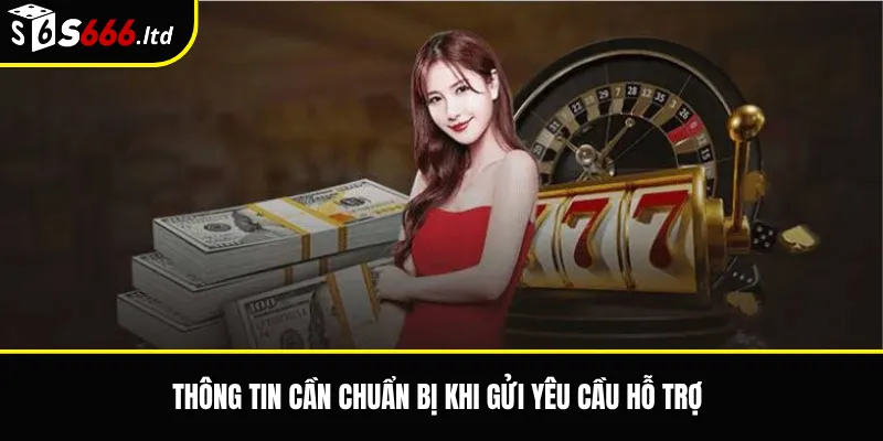 Nạp Tiền S666 Không Vào – Nguyên Nhân Và Cách Kiểm Tra Giao Dịch 3 Thông tin cần chuẩn bị khi gửi yêu cầu hỗ trợ